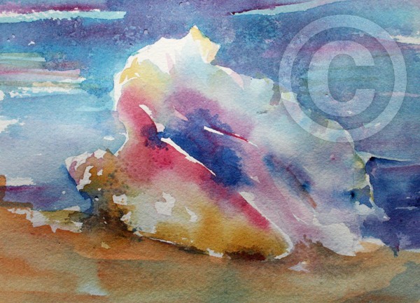 Conch Shell
