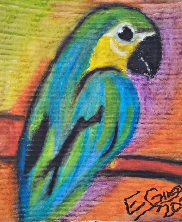 Bird of Paradise