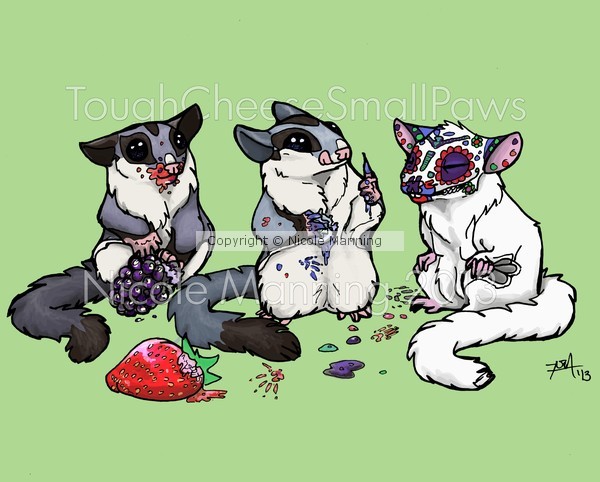 Sugar Glider Sugar Skull