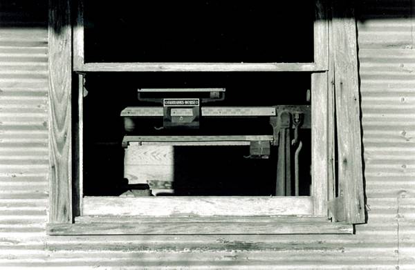 Scale