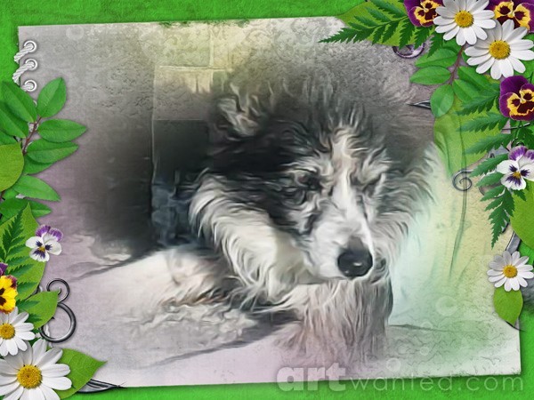 pizap.com13377895722471