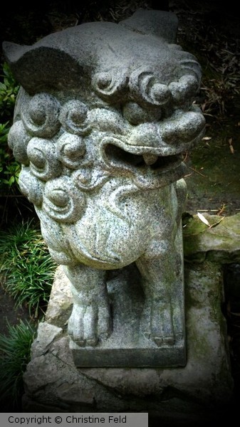 Japanese Gardens, CSU Long Beach