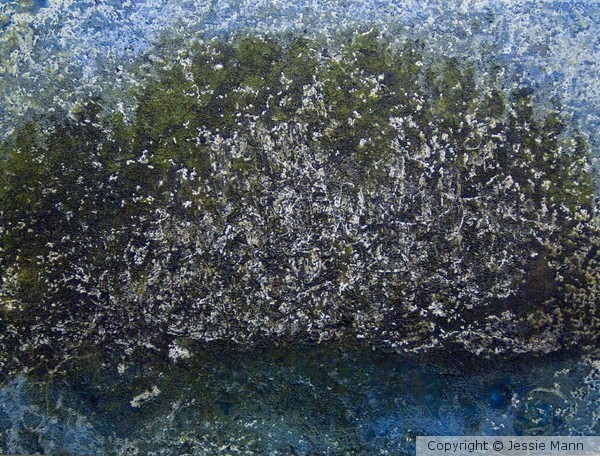 Riverbank#1Spring 201030x40 oil on canvas