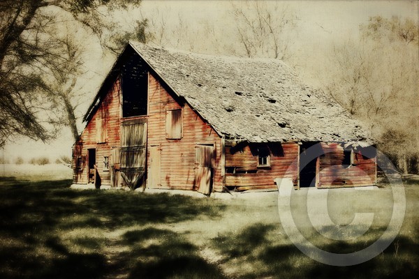 Becky's Barn
