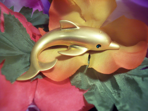 Dolphin 