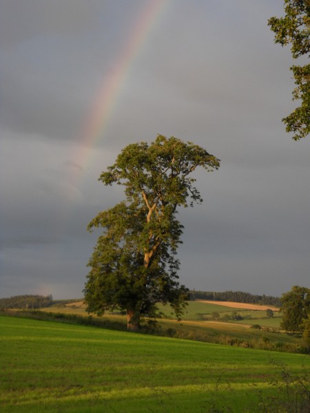 rainbow near hoddam scotland