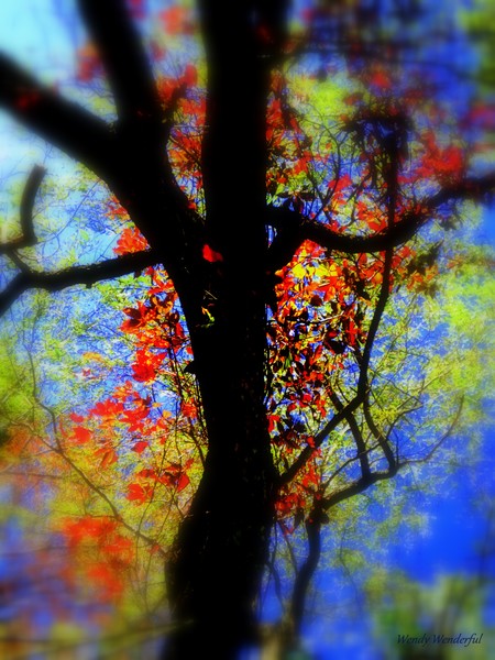 Secrets of Fall 11 x 14