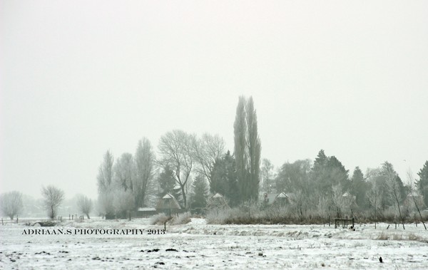 winter wonderland