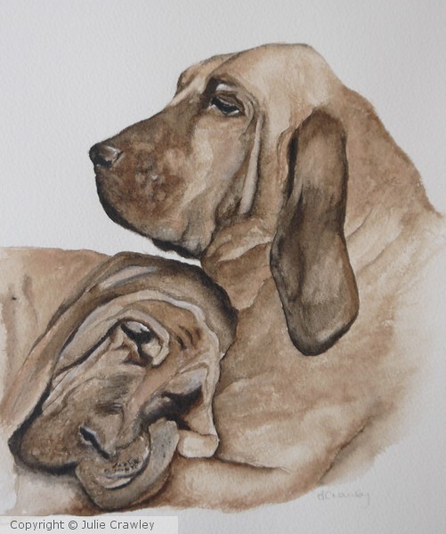 'Harriet & Henry'