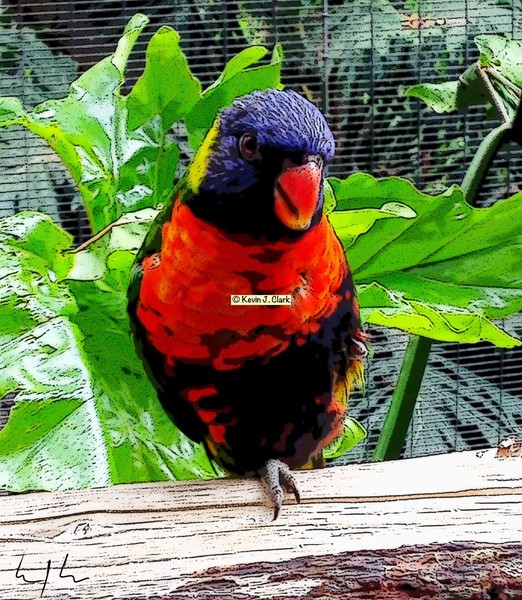 Natural Beauty, E-Copy of Photo / Digital Painting