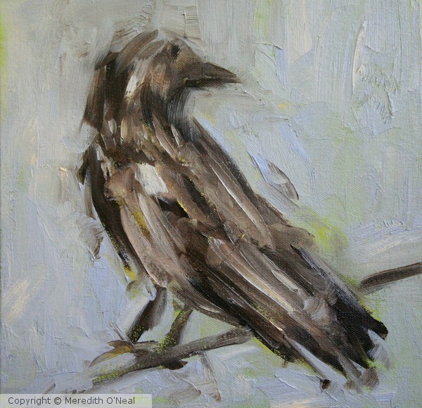 Brown Crow
