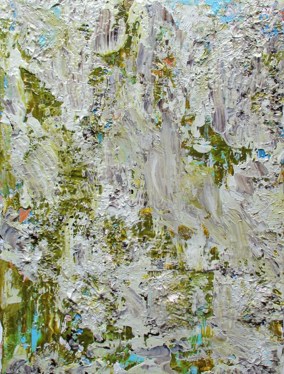 Lichen