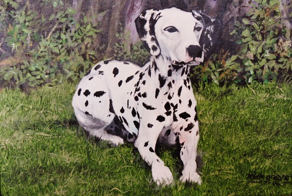 Spotty