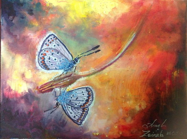Butterfly 3