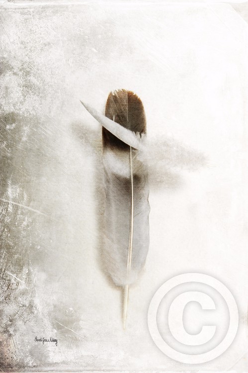 Flying Feathers
