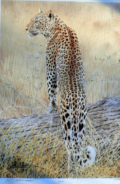 Huntress