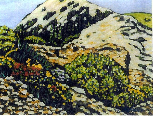 late spring
