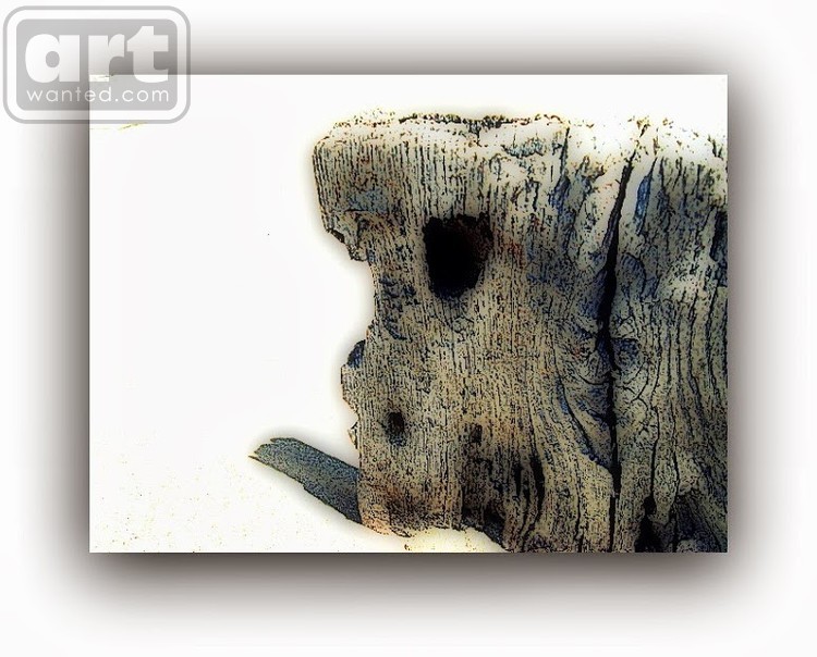 Driftwood Face