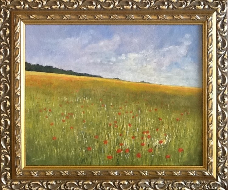 Poppy field