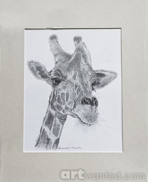 Giraffe Portrait