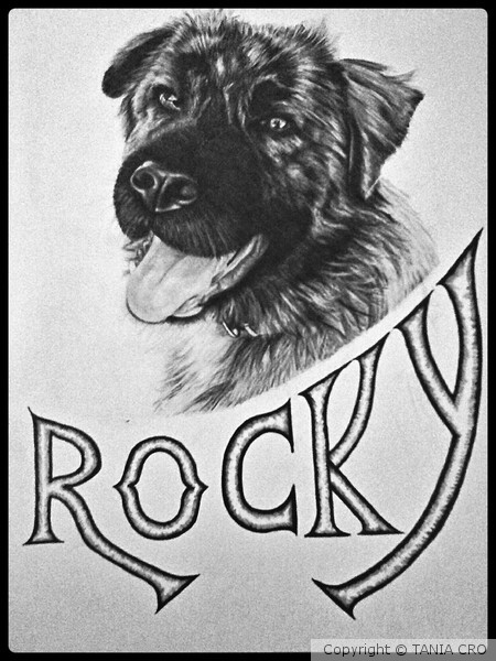 Rocky