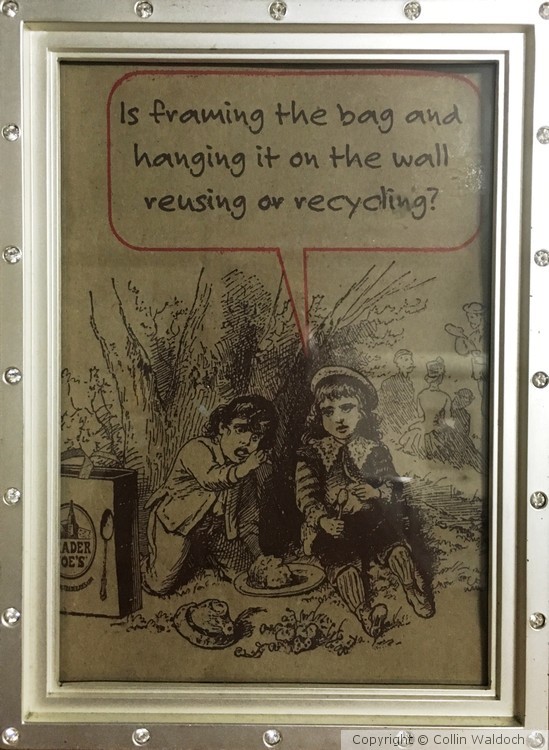 Environmental Responsibility