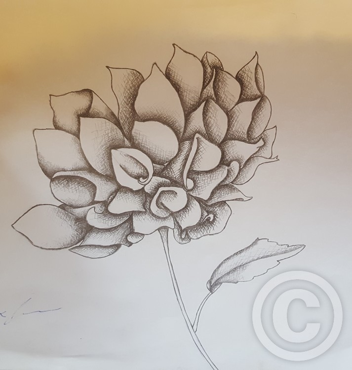 Grayscale Flower