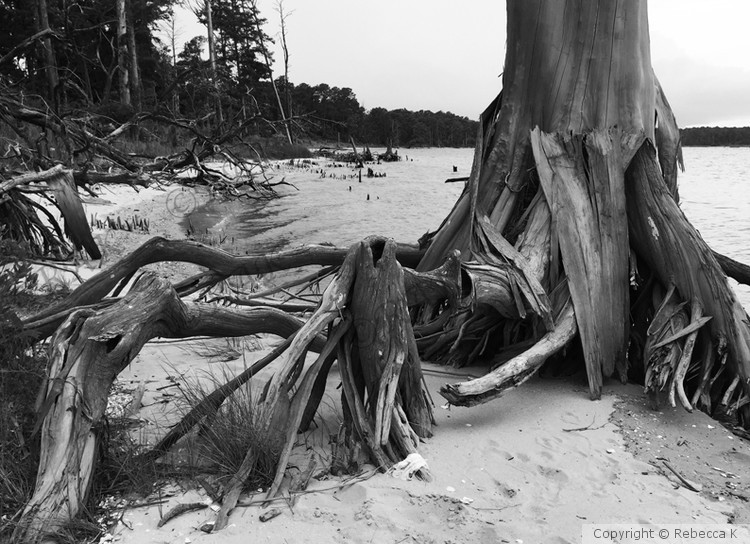 Millers Landing