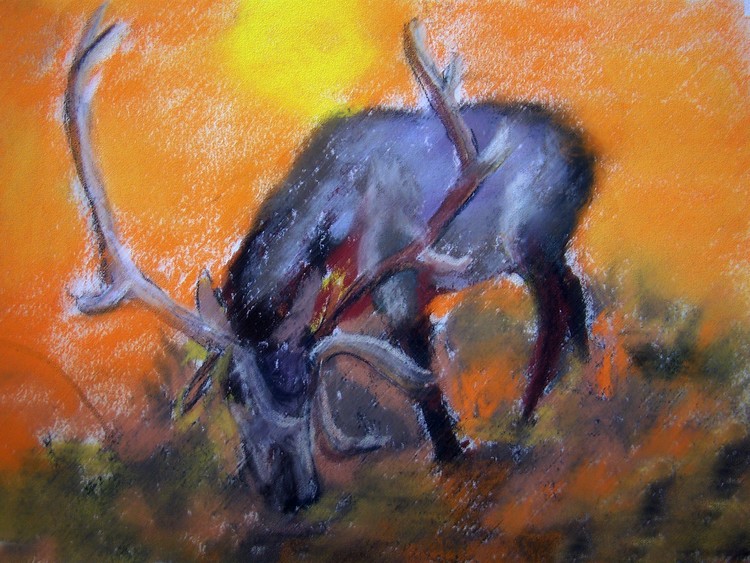 071319 caribou