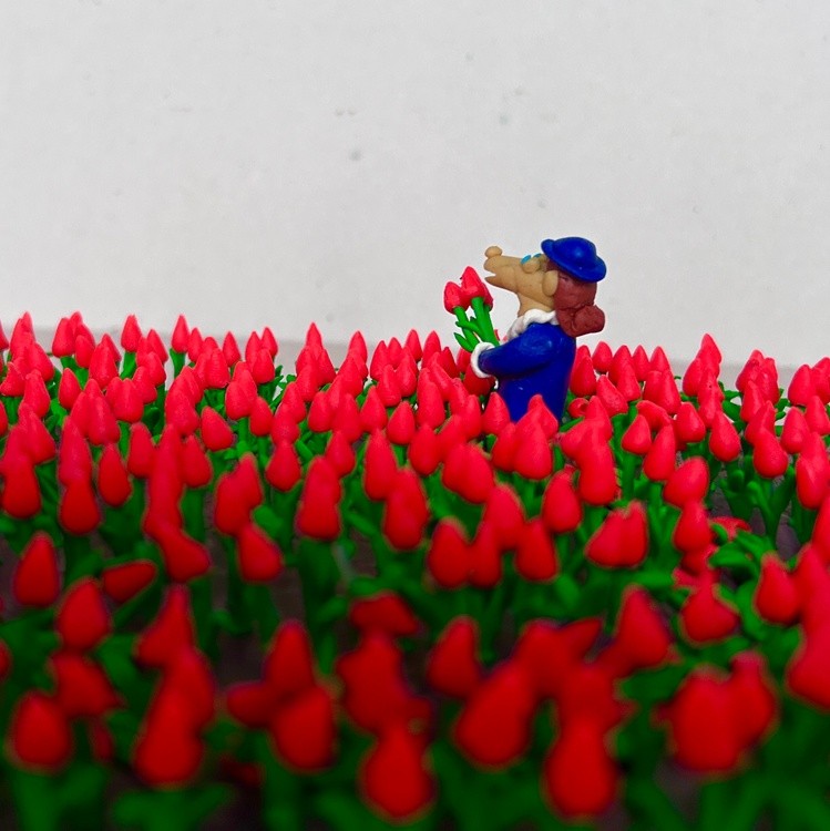 Tulips, plasticine, carboard, 25x17,5x5,5 cm