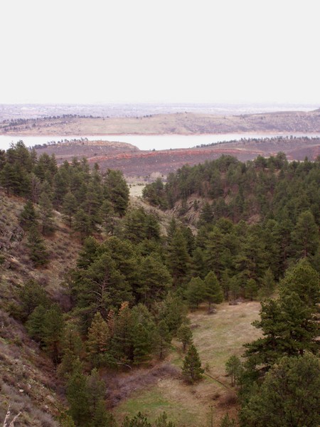 Rattlesnake Reservoir from Well Gulch Trail