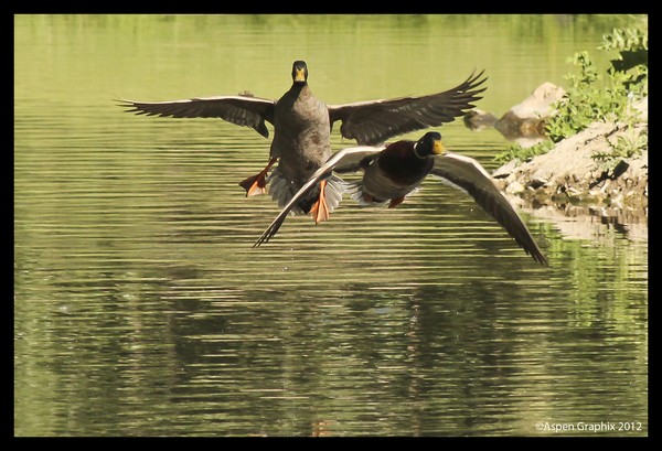 Three Consecutive Shots