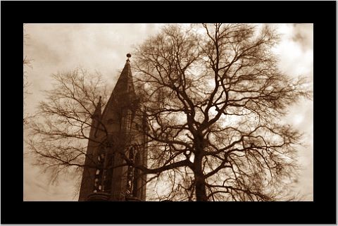 The Tower