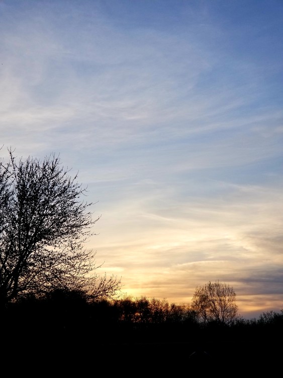 20190504 060442