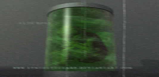 jar(animated)