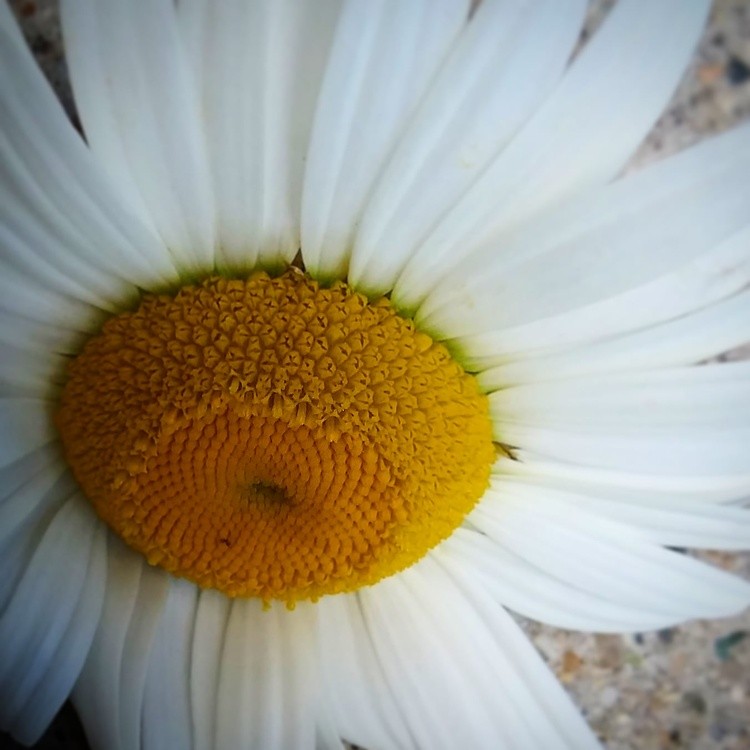 IMG 20200627 193743 136