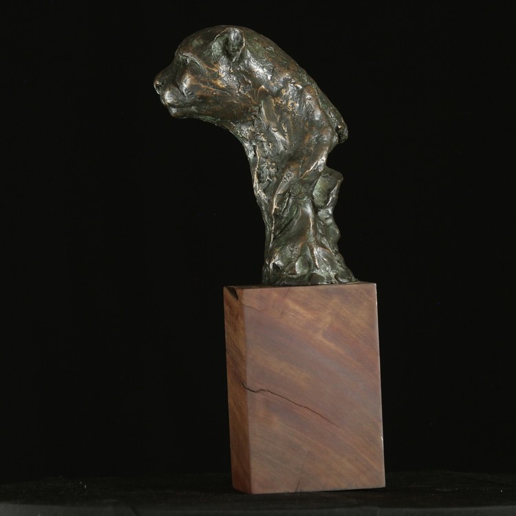 CHEETAH BUST