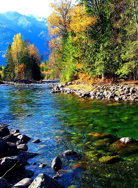 Wilson Creek, Rosebery, British Columbia