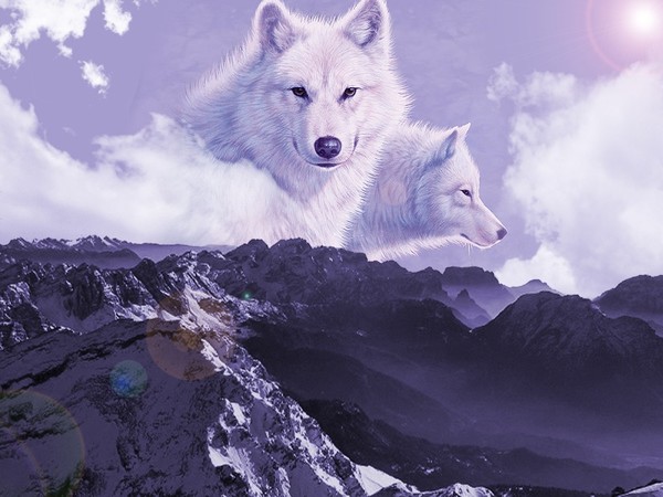 WOLF MOUNTAIN