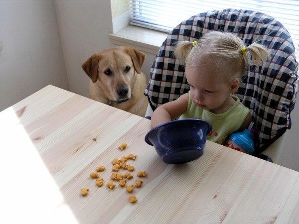 You Gonna Eat That?
