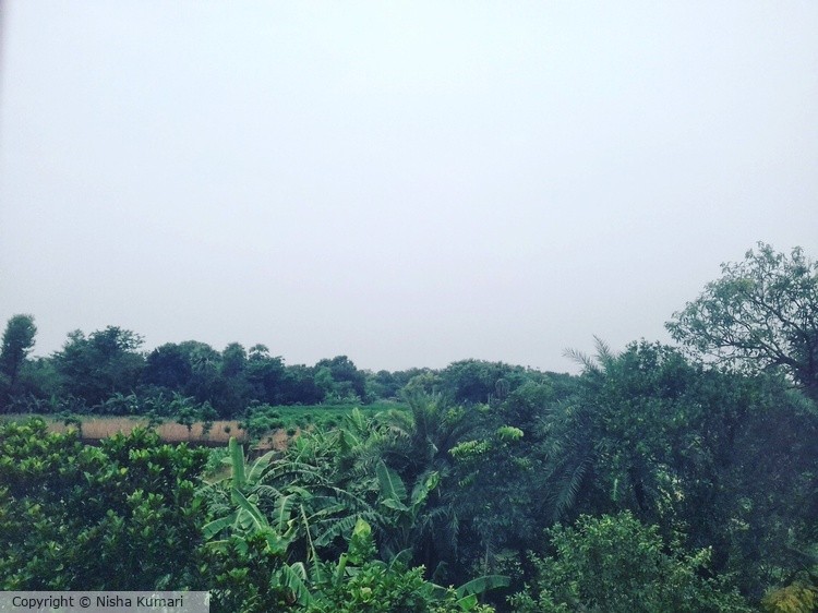 Green Zone