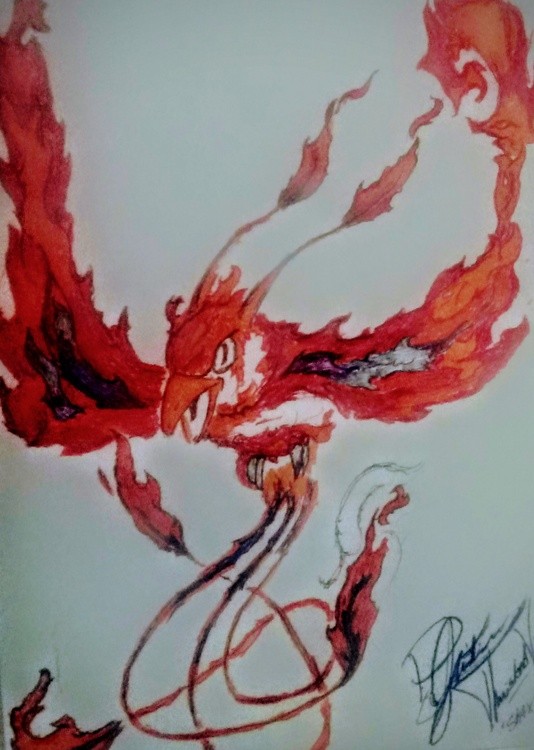 I am the Phoenix