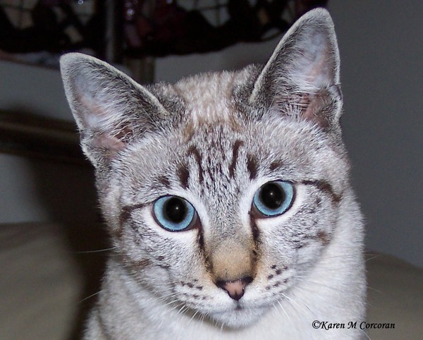 Looking at You!