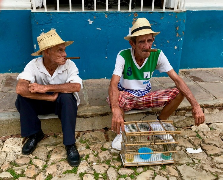 Cuban Cigars