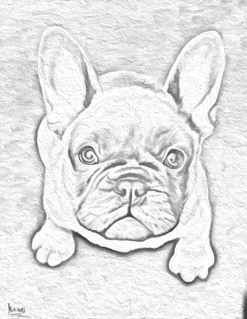 portrait1