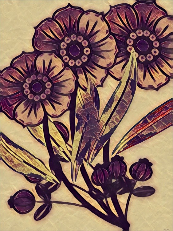 Wildflowers