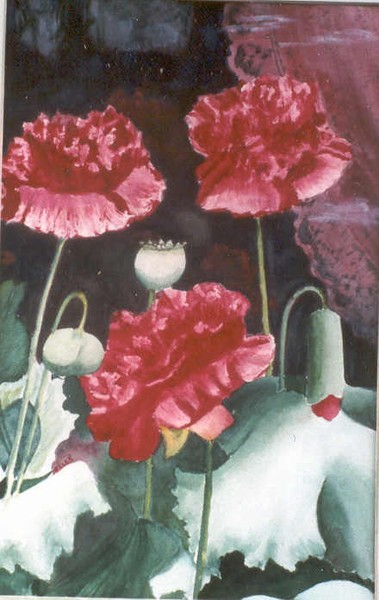 Double Poppies