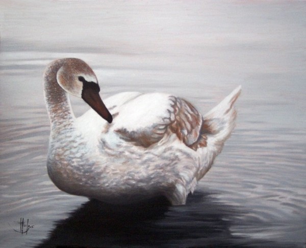 Lady of the Lake