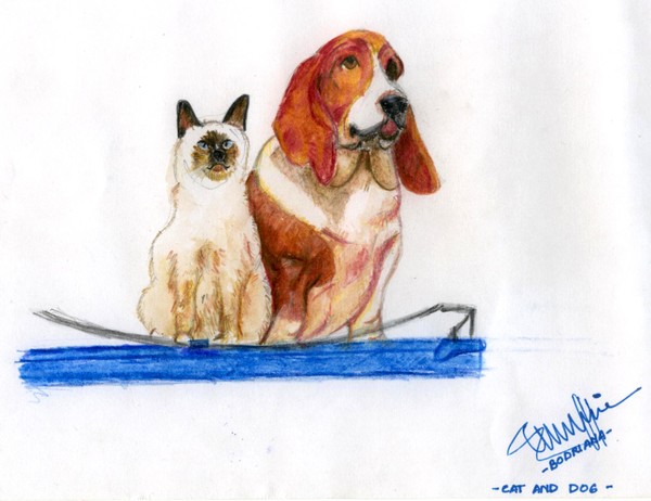 Siamese and Hound