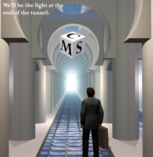 Design/Cover Jacket-MCS